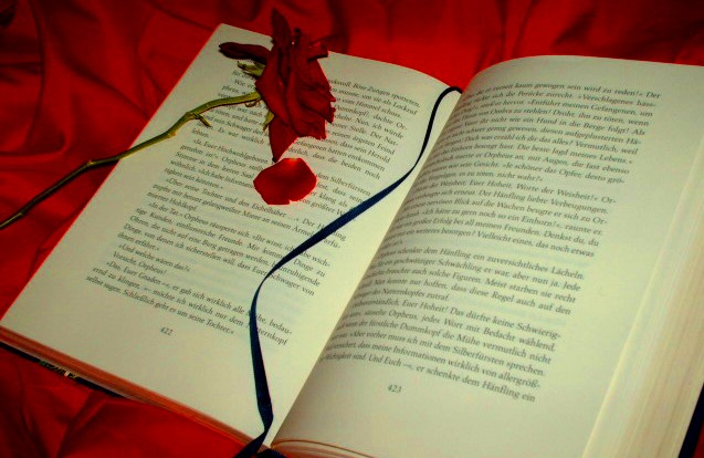 Ein Buch über die Liebe....