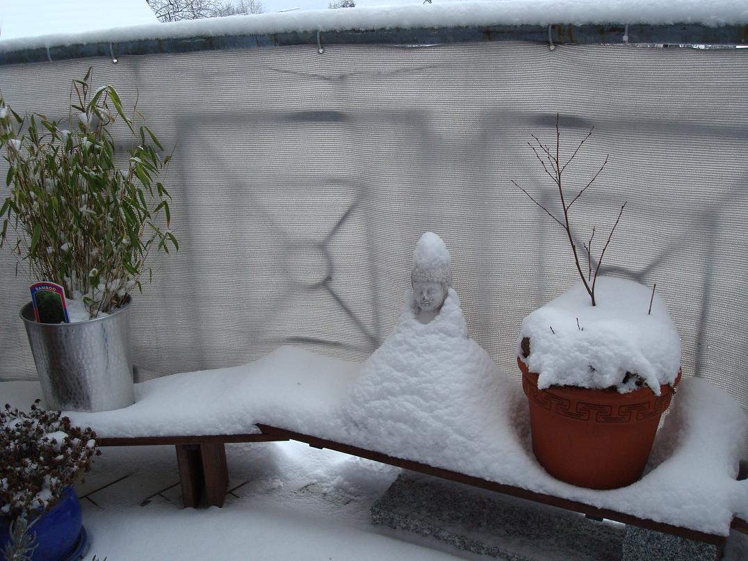 Ein Budda im Winterkleid !