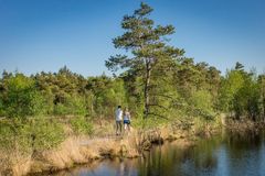 ein Bummel durchs Pietzmoor  - Lüneburger Heide