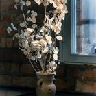 Ein Bund Silberblätter in einer Vase