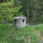 Ein Bunker steht im Walde .....