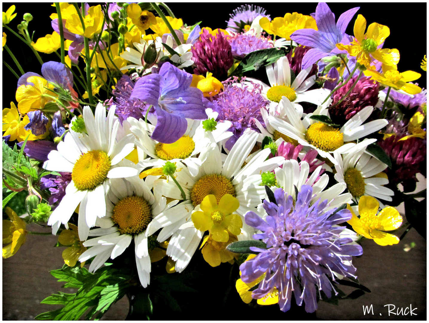 Ein bunter Blumenstrauß 