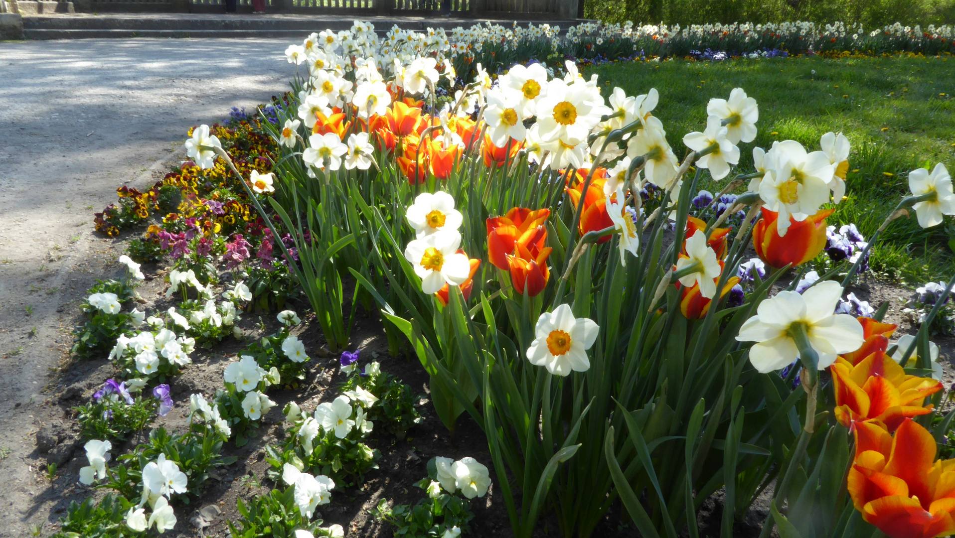 Ein bunter Frühlingsgruß 