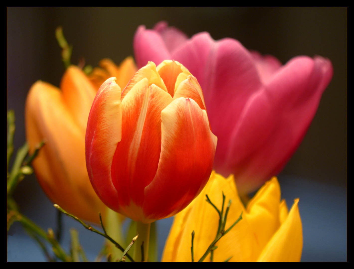 Ein bunter Tulpenstrauss