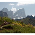 Ein bunter Weg - Dolomiten 2010