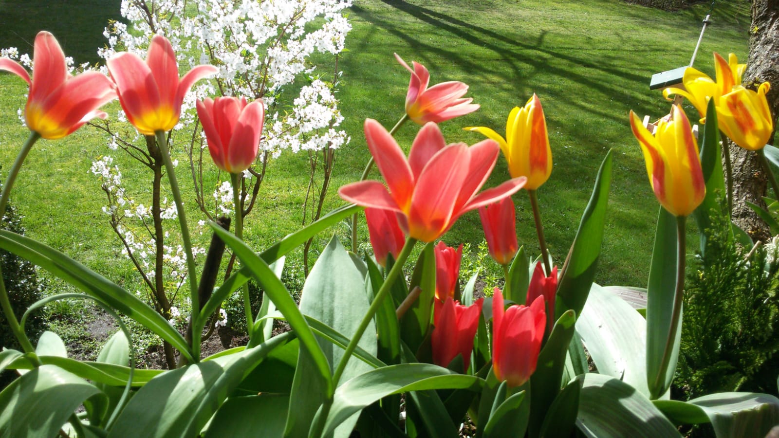 Ein buntes Frühlingserwachen 