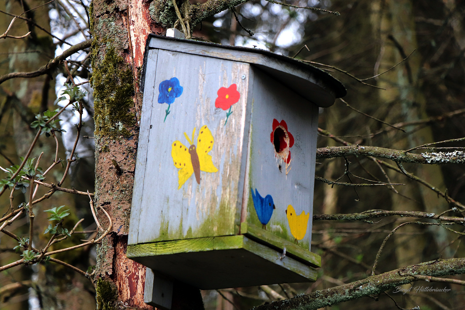 Ein buntes Zuhause