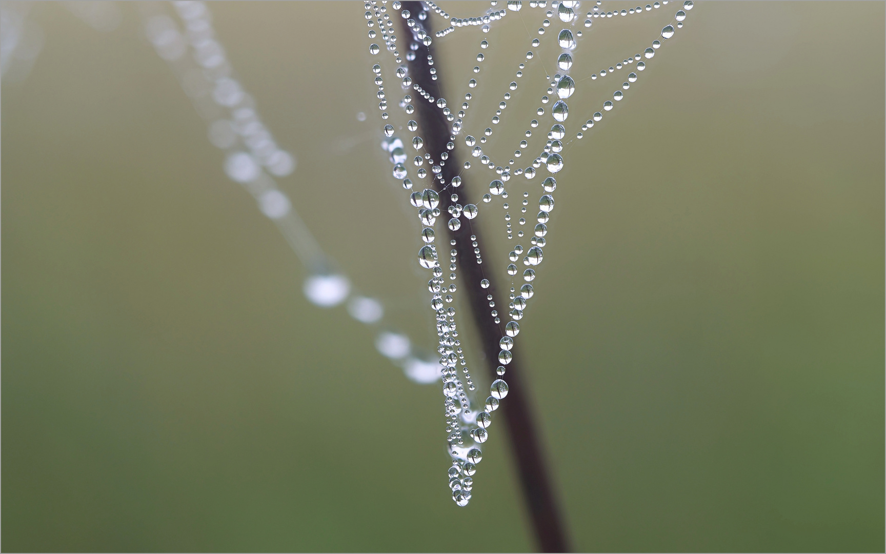 Ein Collier der Natur