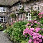 Ein Cottage in Cornwall