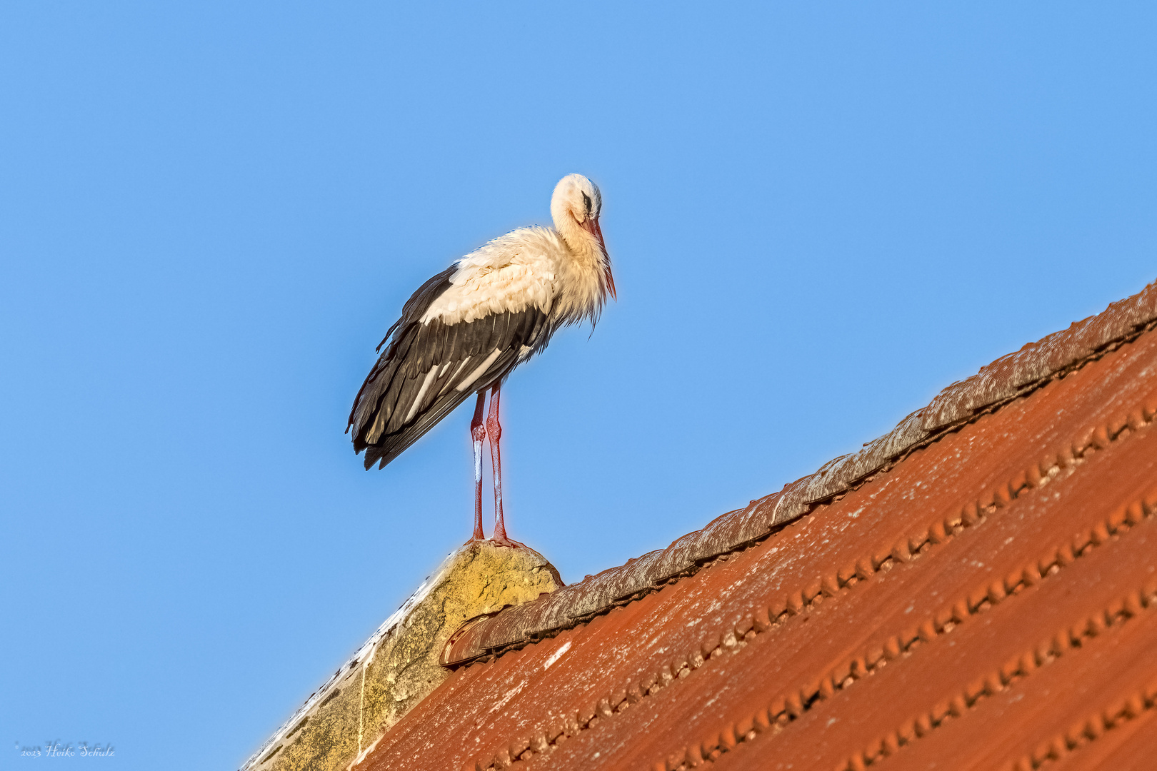 Ein Dachreiter