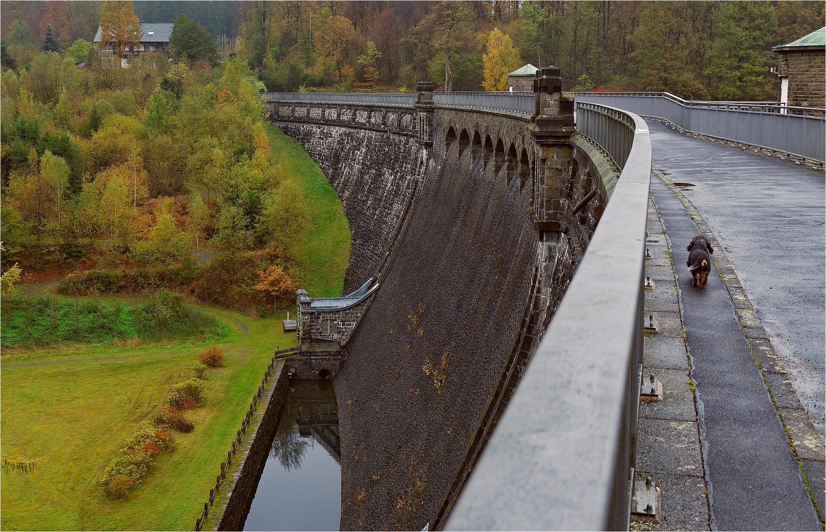 Ein Dackel auf der Staumauer