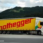 Ein DAF-Sattelzug aus Österreich