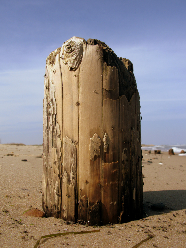 EIN DALI AM STRAND VON KÜHLUNGSBORN / HEUTE 01 05 12