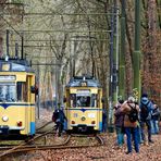 EIN DATE IM WALDE UND GANZ ANDERS