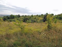 Ein Detail der Landschaft bei uns am Sultmer in Northeim.