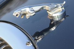 Ein Detail vom Jaguar .....