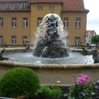 Ein Detail von der Wasserachse in Gotha .