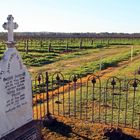 Ein deutscher Friedhof mitten im australischen Barossa Valley