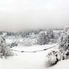 Ein Dezemberwinter  - Und wo ist eine Hütte?