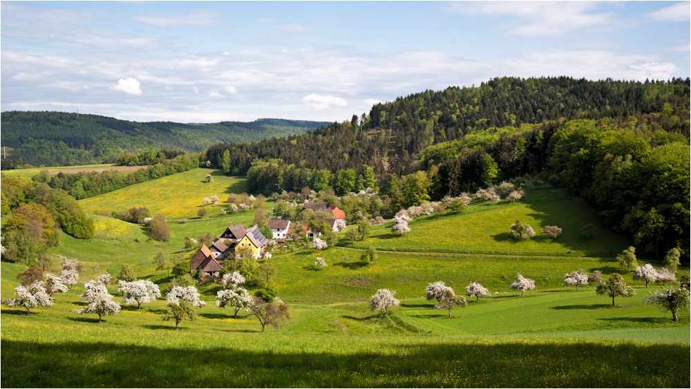 Ein Dorf im Odenwald