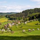 Ein Dorf im Odenwald