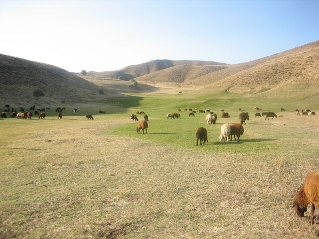 Ein Dorf in Kurdistan / Zengena