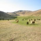 Ein Dorf in Kurdistan / Zengena