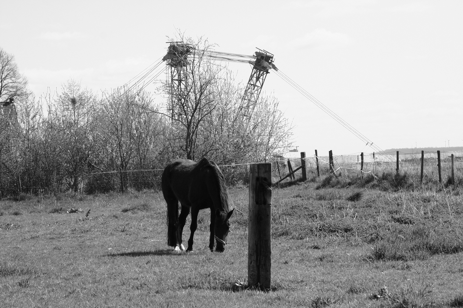 Ein Dorf verschwindet: Borschemich - Auch ich werde zwangsumgesiedelt