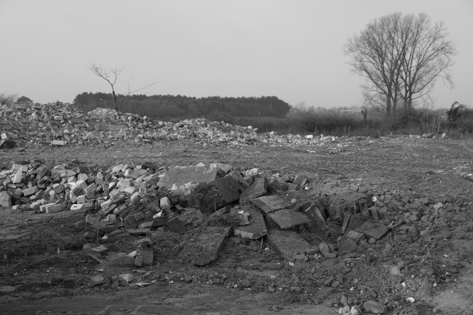 Ein Dorf verschwindet: Borschemich -  Das Pfarrhaus 