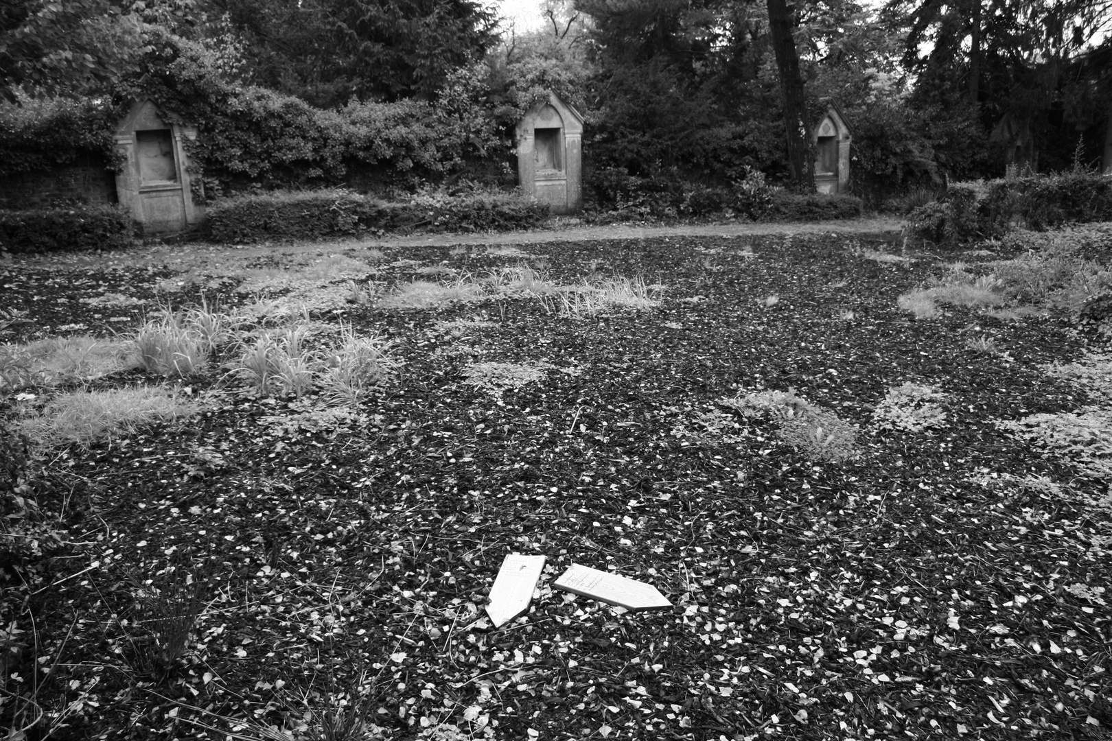 Ein Dorf verschwindet: Borschemich - Der verlassene Friedhof