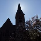 Ein Dorf verschwindet: Borschemich - Ein letztes Aufblühen...