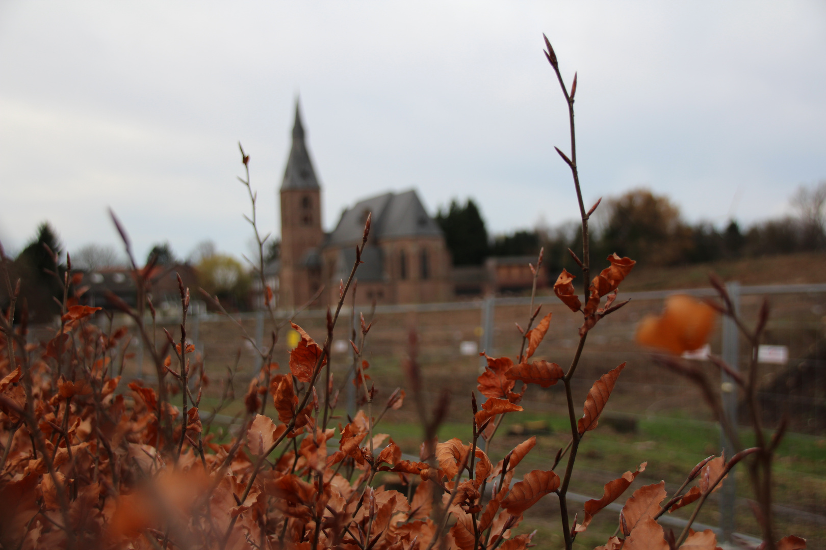 Ein Dorf verschwindet: Borschemich - HERBST