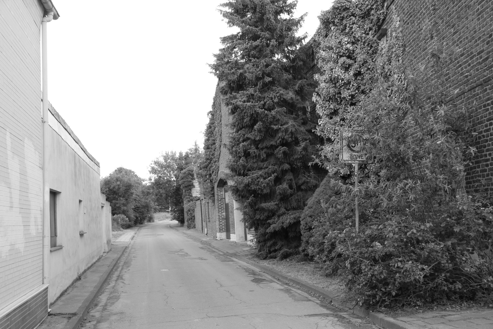 Ein Dorf verschwindet: Borschemich - Hochneukircher Weg, 19.06.2015