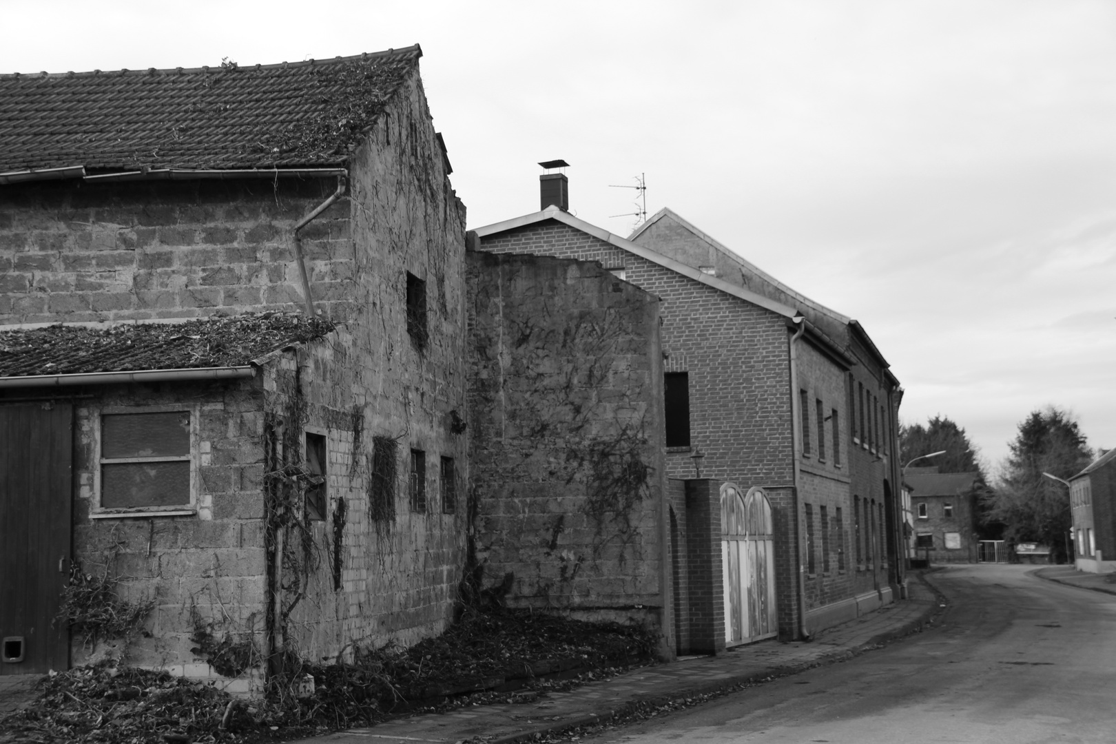 Ein Dorf verschwindet: Borschemich - St.-Martinus-Str. Blick nach Westen
