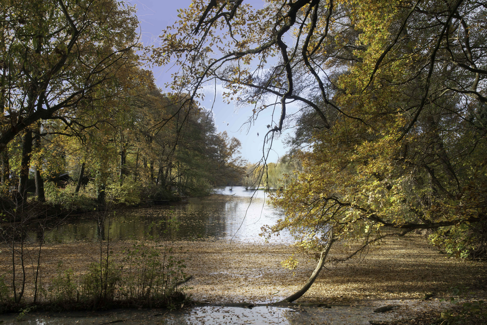 Ein Dorfteich im Herbst