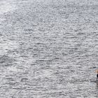 EIN DREIER AUF DER SPREE