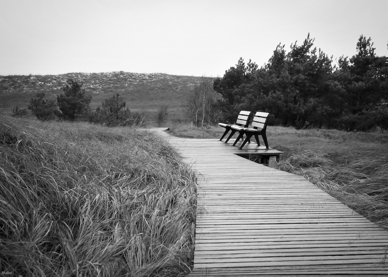 ein Dünenweg