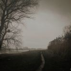 Ein düsterer Vormittag am Rhein SW