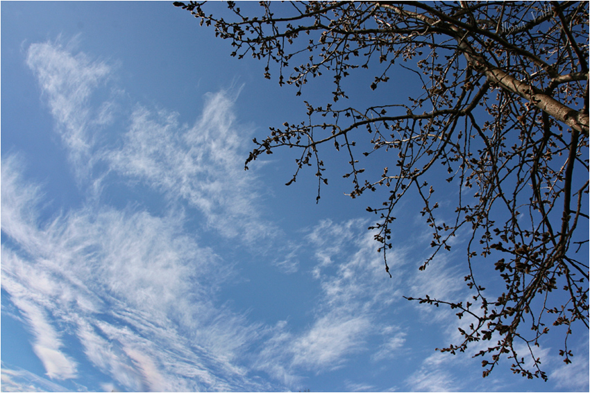 Ein Duft nach Frühling