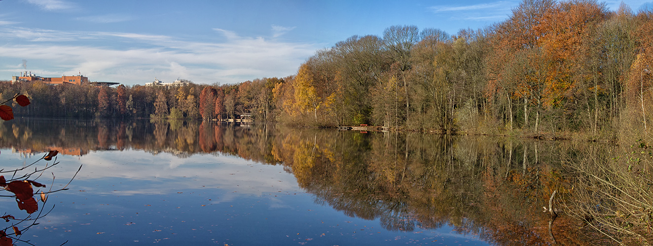 Ein duisburger See