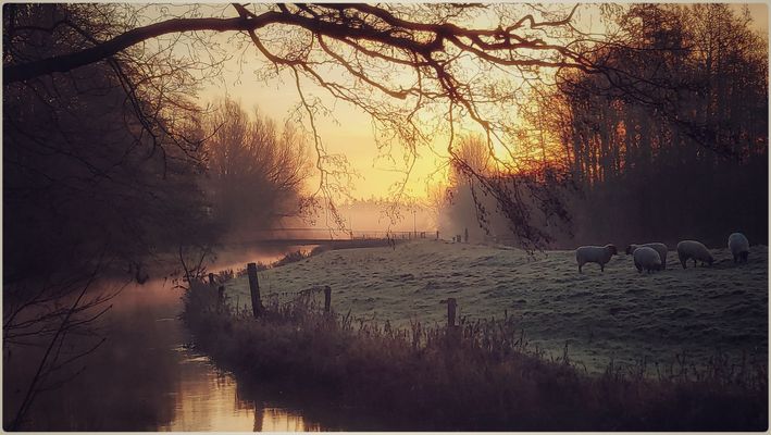 Ein dunstiger Morgen…