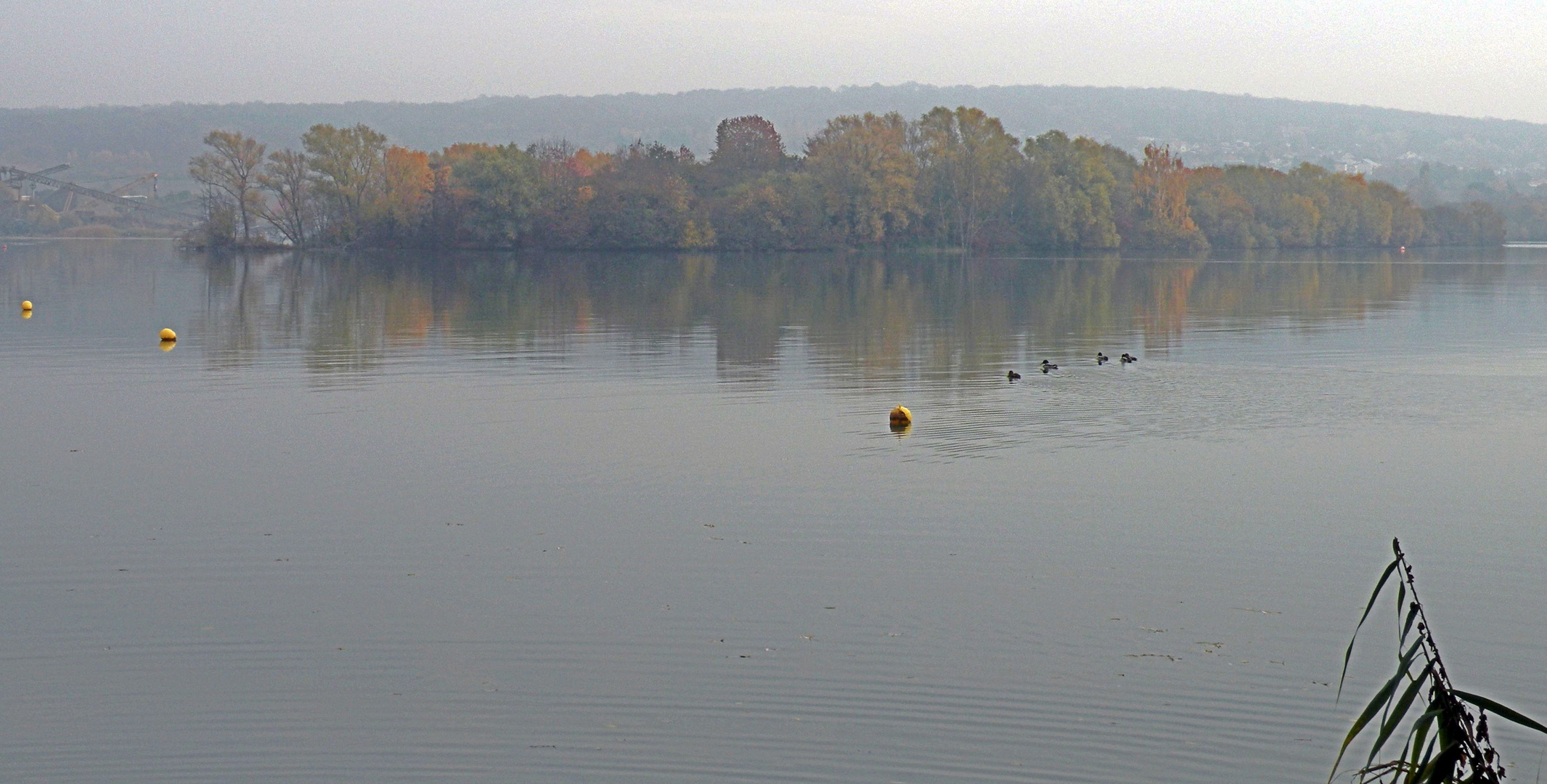 Ein dunstiger Novembermorgen am See.