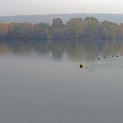 Ein dunstiger Novembermorgen am See.