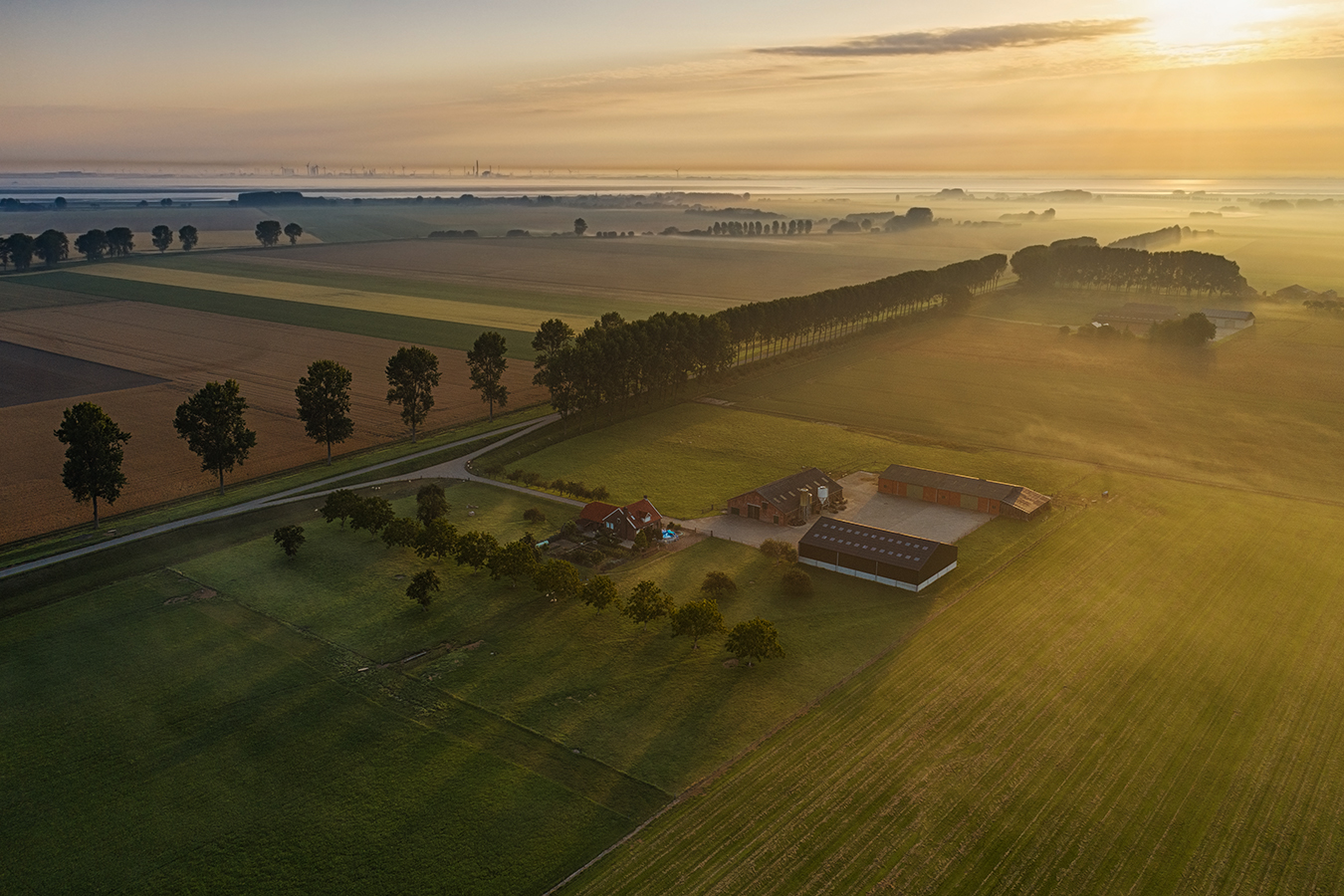 Ein dunstiger Sommermorgen