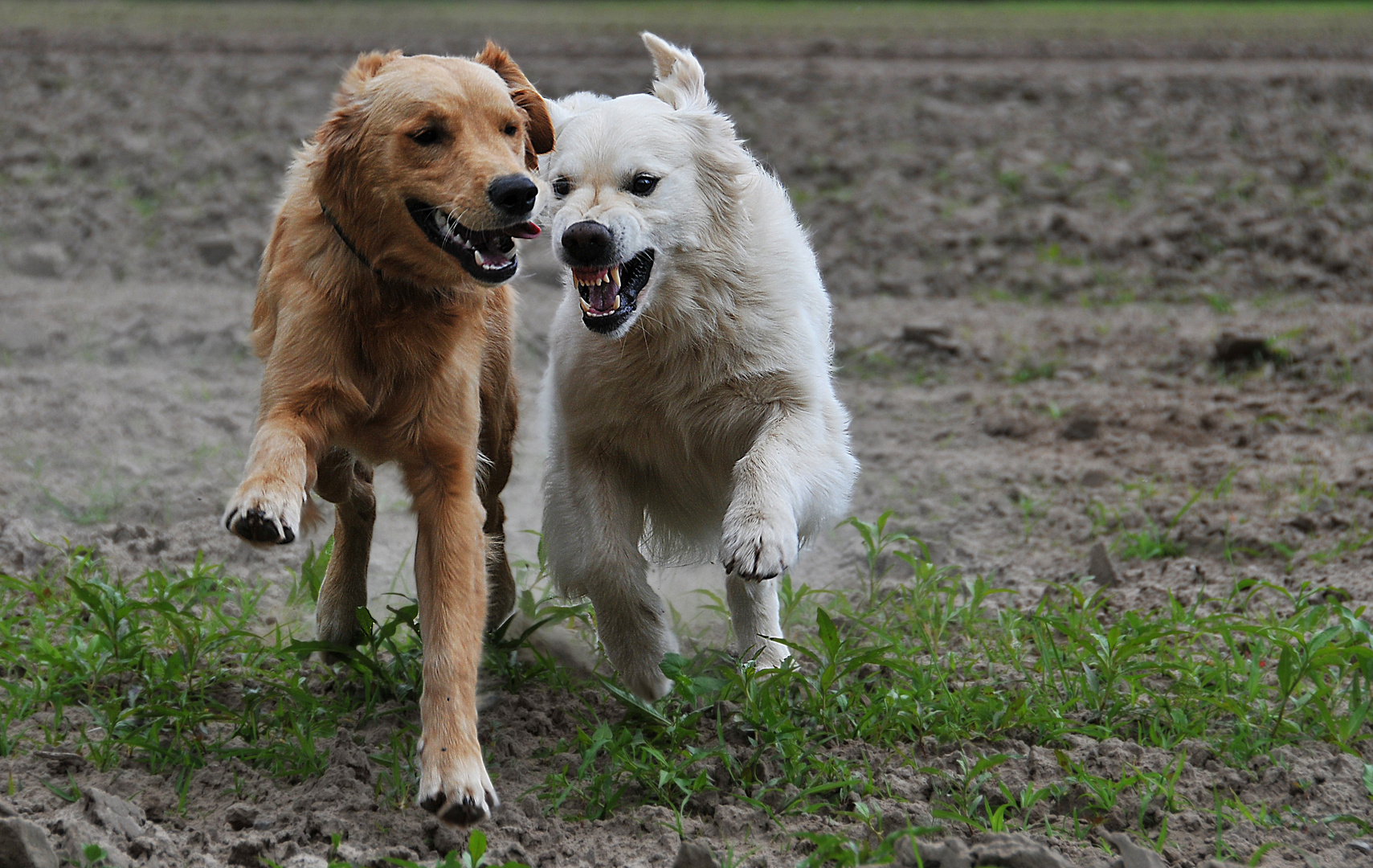 Ein dynamisches Duo