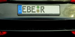 Ein Eber.....