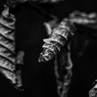 Ein Echo der Zeit, gefroren in monochromer Perfektion.