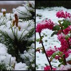 Ein echter Aprilscherz!