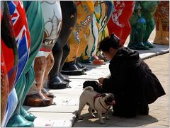 ... ein echter japanischer Mops ...