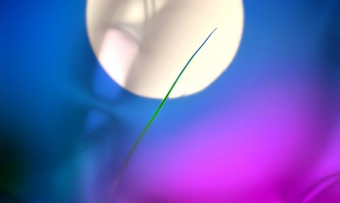 ein echtes natur gras ...